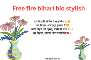 Free fire bihari bio stylish