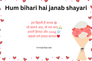 Hum bihari hai janab shayari