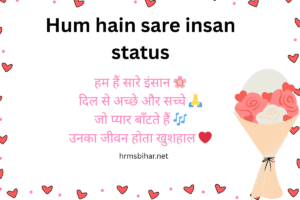 Hum hain sare insan status