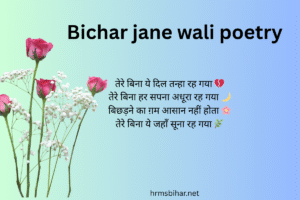 Bichar jane wali poetry
